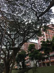 Blk 270 Bishan Street 24 (Bishan), HDB 4 Rooms #155388482